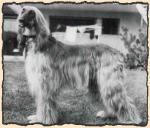 Thumbnail of Pani Pachacumac