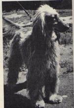 Thumbnail of Emir Von Jugenheim