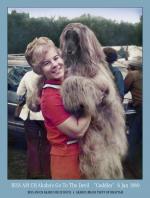 Thumbnail of Akaba's Go To The Devil