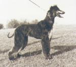 Thumbnail of Marut von der Irminsul