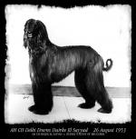 Thumbnail of Delhi Downs Duirke El Sayyad