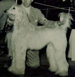 Thumbnail of Mistah Allah Baba Of Eeberef