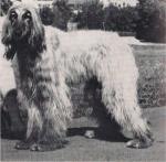 Thumbnail of Khanabad The Punjabi