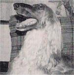 Thumbnail of Gunga Din Of Carloway