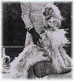 Thumbnail of Tikka Saheb Of Grandeur