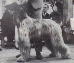 Thumbnail of Nasaki van de Kastelein