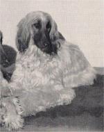 Thumbnail of Sahri Of Amudarya