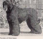 Thumbnail of Peridot Of Khorrassan