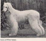 Thumbnail of Ivory Of Khorrassan