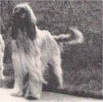 Thumbnail of Khinjan Banzai