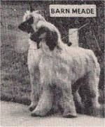 Thumbnail of Khinjan Jespah Of Carloway