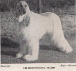 Thumbnail of Horningsea Majid