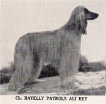 Thumbnail of Ravelly Patrols Ali Bey