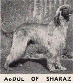 Thumbnail of Abdul Of Sharaz