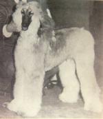 Thumbnail of Melek El Sayyad