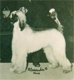 Thumbnail of Nadir Shah Of Shahi-Taj