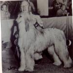 Thumbnail of Patrician's Victoria