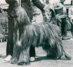 Thumbnail of Pamir Marco (USA)