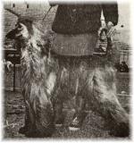 Thumbnail of Akaba's Glacier Blue