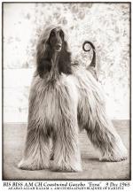 Thumbnail of Coastwind Gazebo