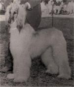 Thumbnail of Rudok El Encino