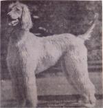 Thumbnail of Niliyo Of Prides Hill