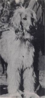 Thumbnail of Sinbad The Sailor (USA)(1941)