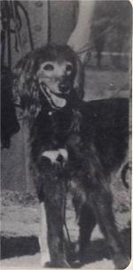 Thumbnail of Blue Mist Of Egypt