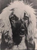 Thumbnail of Sidi Barani