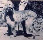 Thumbnail of Sari-I-Mat