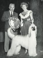 Thumbnail of Taejon of Crown Crest