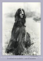 Thumbnail of Khalife Of Grandeur