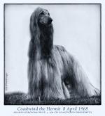 Thumbnail of Coastwind The Hermit