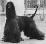 Thumbnail of Jorogz' Heartbreaker