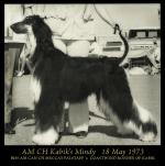 Thumbnail of Kabik's Mindy