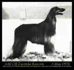 Thumbnail of Zuvenda Razcym