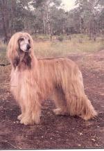 Thumbnail of Badin van de Oranje Manege