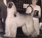 Thumbnail of Tajmir's Redstone Rocket