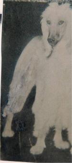 Thumbnail of Uly Hazrat Of Kingway