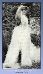 Thumbnail of Caliph El Kevir