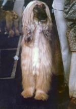 Thumbnail of Kysyl van de Oranje Manege