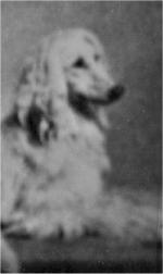 Thumbnail of Gobi Of Arken