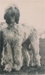 Thumbnail of Zudiki Of Arthea