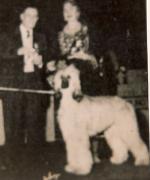 Thumbnail of Zar-Kari Of Shamalan