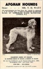 Thumbnail of Ashna Of Ghazni