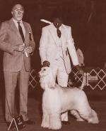 Thumbnail of Akaba's Sweetheart On Parade