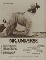 Thumbnail of Crown Crest Mr Universe