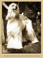 Thumbnail of Mecca's Falstaff