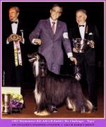 Thumbnail of Kabik's The Challenger