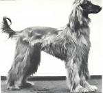 Thumbnail of Rasti Of Istalif